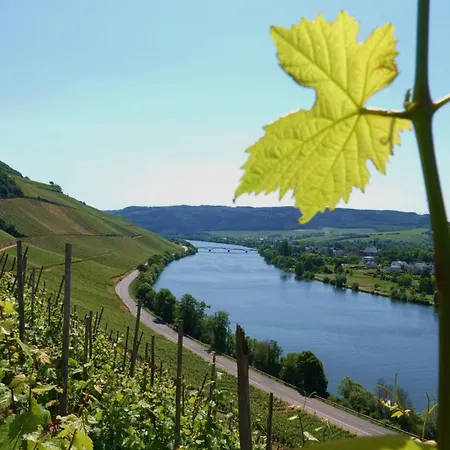 Neue Loft Im Alten Kelterhaus - Urlaub Im Wein- Und Ferienort Bekond Exterior foto