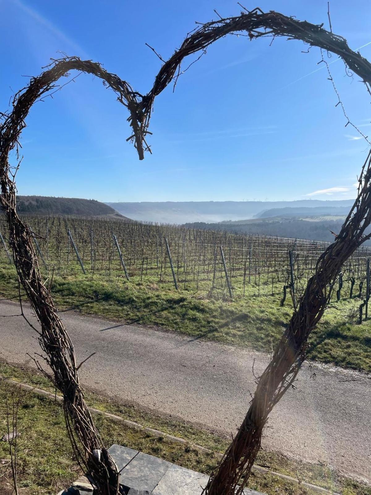 Neue Loft Im Alten Kelterhaus - Urlaub Im Wein- Und Ferienort *