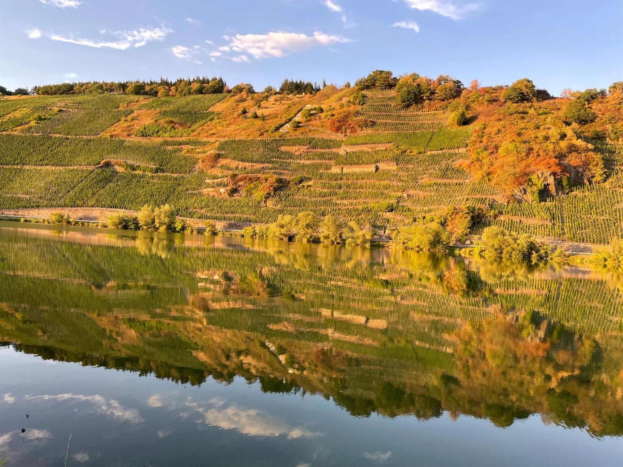 Neue Loft Im Alten Kelterhaus - Urlaub Im Wein- Und Ferienort *