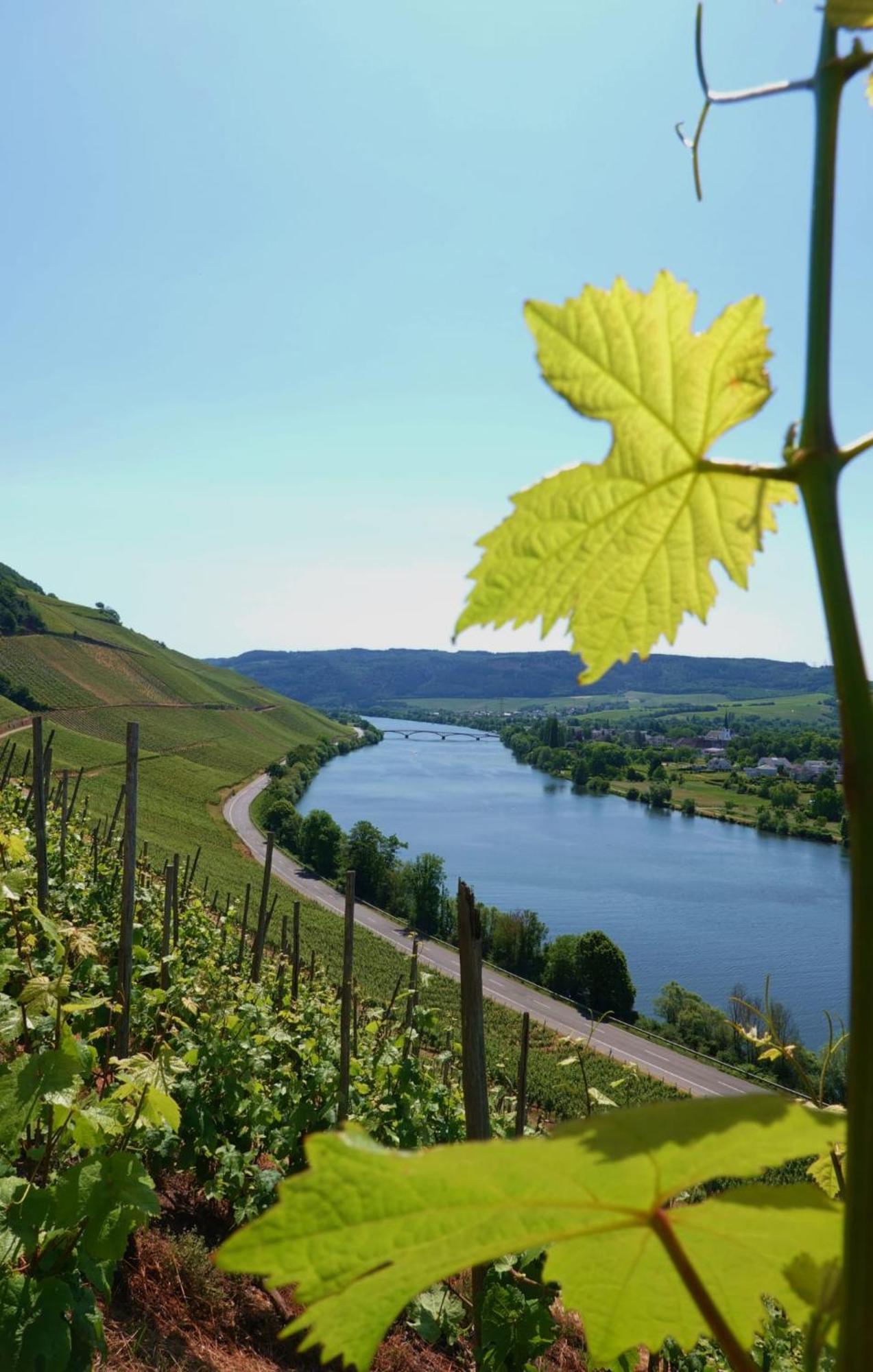 Neue Loft Im Alten Kelterhaus - Urlaub Im Wein- Und Ferienort Bekond